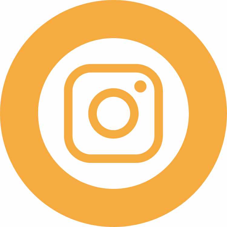 Instagram Icon